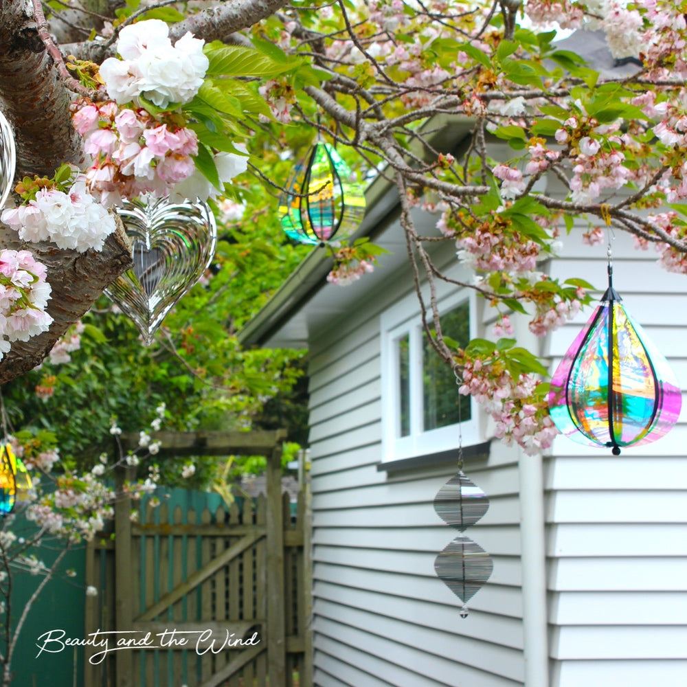 Rainbow Drop™ - Beauty and the Wind