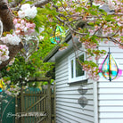 Rainbow Drop™ - Beauty and the Wind