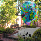Peacock Wind Spinner - Beauty and the Wind