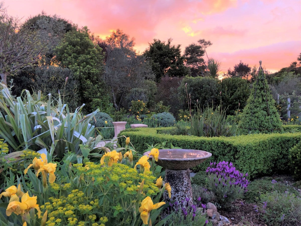 Garden Tours Across NZ!