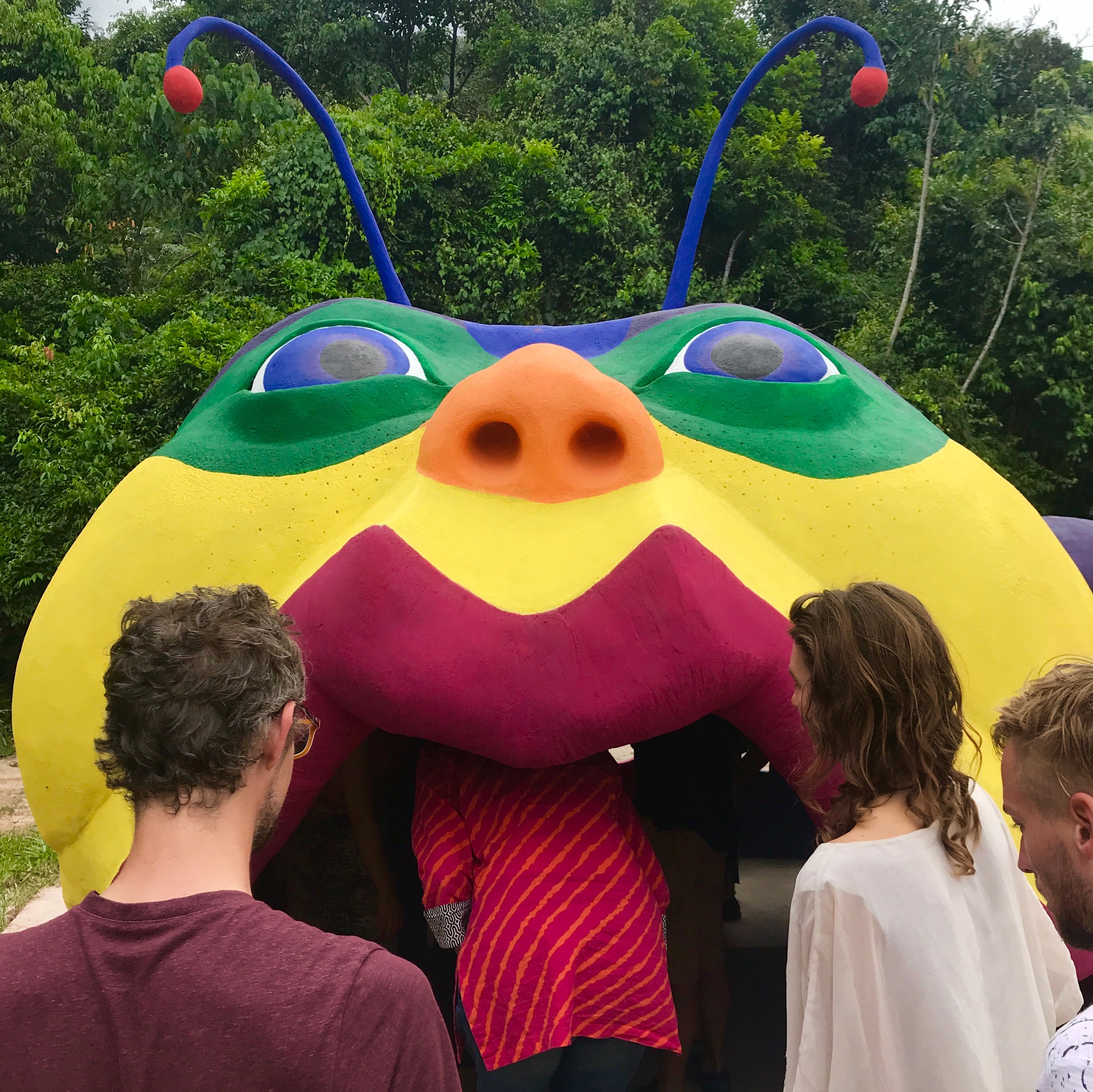 A guided tour through Umbala; a truly collective art project